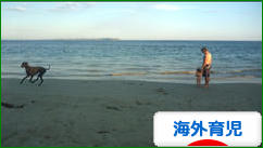 にほんブログ村 子育てブログ 海外育児へ