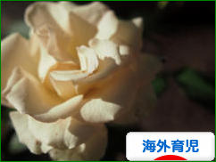 にほんブログ村 子育てブログ 海外育児へ