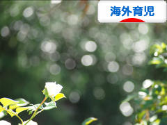 にほんブログ村 子育てブログ 海外育児へ