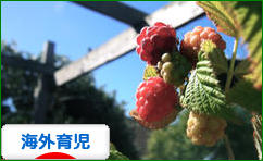 にほんブログ村 子育てブログ 海外育児へ