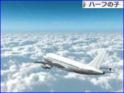 にほんブログ村 子育てブログ ハーフの子へ