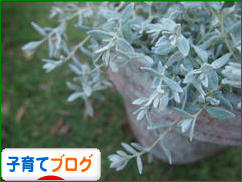 にほんブログ村 子育てブログへ