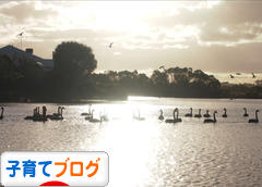 にほんブログ村 子育てブログへ