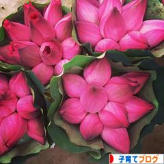 にほんブログ村 子育てブログへ
