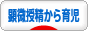 にほんブログ村 子育てブログ 顕微授精から出産、育児へ