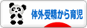 にほんブログ村 子育てブログ 体外受精から出産、育児へ