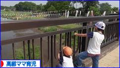 にほんブログ村 子育てブログ 高齢ママ育児へ