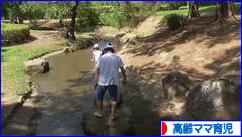 にほんブログ村 子育てブログ 高齢ママ育児へ