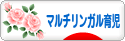にほんブログ村 子育てブログ マルチリンガル育児へ