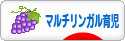 にほんブログ村 子育てブログ マルチリンガル育児へ