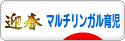 にほんブログ村 子育てブログ マルチリンガル育児へ