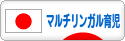 にほんブログ村 子育てブログ マルチリンガル育児へ