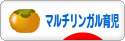 にほんブログ村 子育てブログ マルチリンガル育児へ