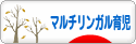 にほんブログ村 子育てブログ マルチリンガル育児へ