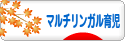 にほんブログ村 子育てブログ マルチリンガル育児へ