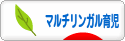 にほんブログ村 子育てブログ マルチリンガル育児へ