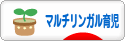 にほんブログ村 子育てブログ マルチリンガル育児へ