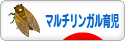 にほんブログ村 子育てブログ マルチリンガル育児へ