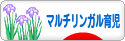 にほんブログ村 子育てブログ マルチリンガル育児へ