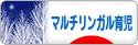にほんブログ村 子育てブログ マルチリンガル育児へ