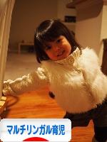 にほんブログ村 子育てブログ マルチリンガル育児へ