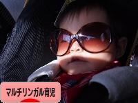 にほんブログ村 子育てブログ マルチリンガル育児へ