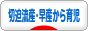 にほんブログ村 子育てブログ 切迫流産・切迫早産から出産、育児へ