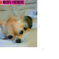 にほんブログ村 子育てブログ 障がい児育児へ