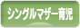 にほんブログ村 子育てブログ シングルマザー育児へ