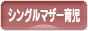 にほんブログ村 子育てブログ シングルマザー育児へ