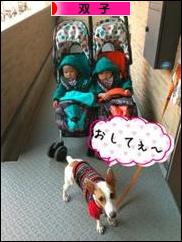 にほんブログ村 子育てブログ 双子へ