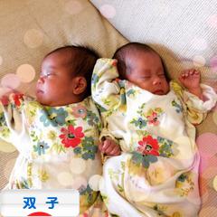 にほんブログ村 子育てブログ 双子へ