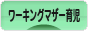 にほんブログ村 子育てブログ ワーキングマザー育児へ