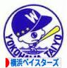にほんブログ村 野球ブログ 横浜DeNAベイスターズへ
