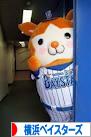 にほんブログ村 野球ブログ 横浜DeNAベイスターズへ