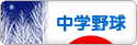 にほんブログ村 野球ブログ 中学野球へ