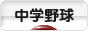 にほんブログ村 野球ブログ 中学野球へ