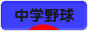 にほんブログ村 野球ブログ 中学野球へ