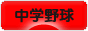 にほんブログ村 野球ブログ 中学野球へ