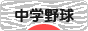 にほんブログ村 野球ブログ 中学野球へ