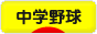 にほんブログ村 野球ブログ 中学野球へ