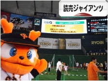 にほんブログ村 野球ブログ 読売ジャイアンツへ