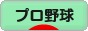 にほんブログ村 野球ブログ プロ野球へ
