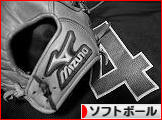 にほんブログ村 野球ブログ ソフトボールへ