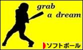 にほんブログ村 野球ブログ ソフトボールへ