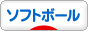 にほんブログ村 野球ブログ ソフトボールへ