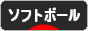 にほんブログ村 野球ブログ ソフトボールへ