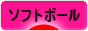 にほんブログ村 野球ブログ ソフトボールへ