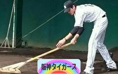 にほんブログ村 野球ブログ 阪神タイガースへ