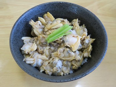 yoshizawa2_8.jpg